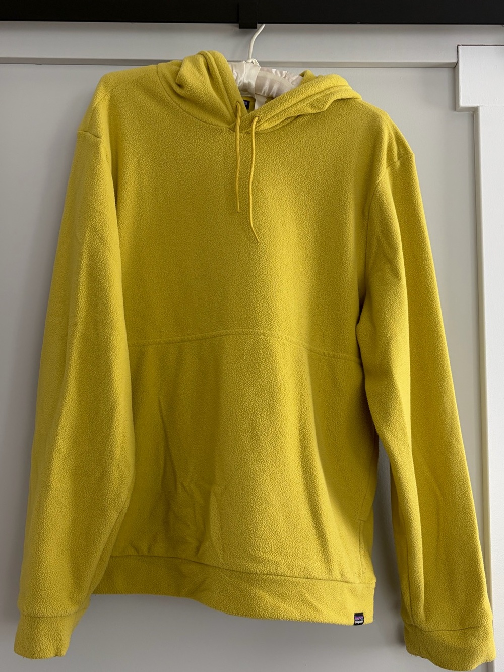 Patagonia Fleece Hoodie